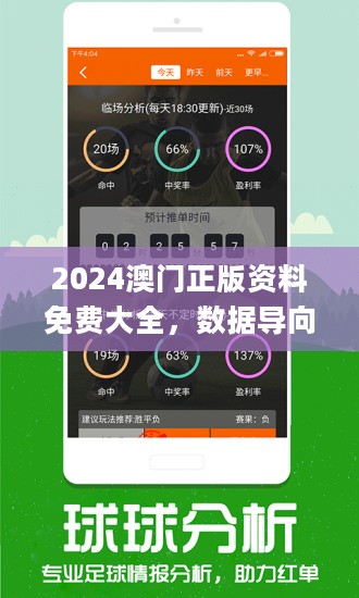 2024年新澳门精准免费大全|精选解释解析落实