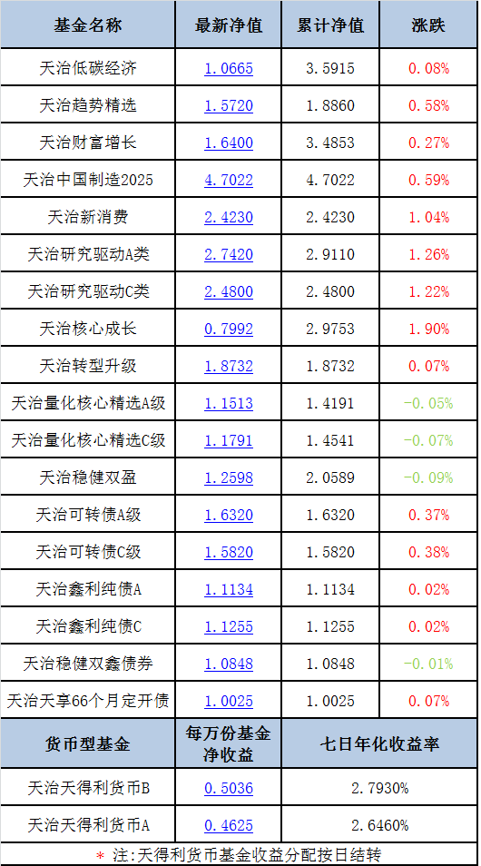 天治核成长净值最新动态，深度解析与前景展望