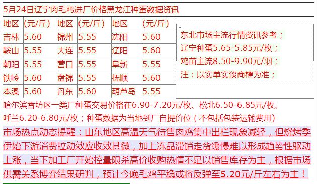 今日肉毛鸡最新价格及分析